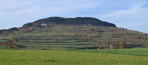 Field terraces on the Pöhlberg mountain