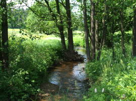 Raunerbach stream