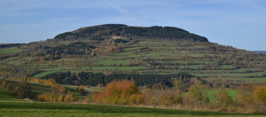 Hedgerow landscape on the Pöhlberg mountain