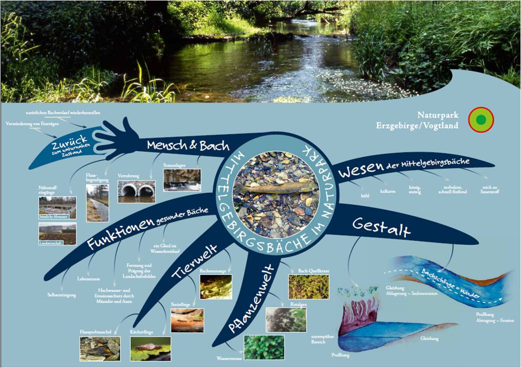 Upland streams mind map (front)