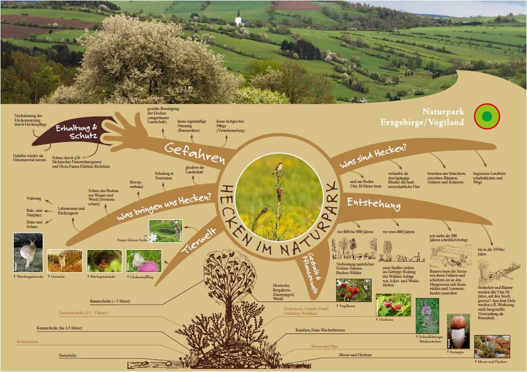 Hedgerows mind map (front)