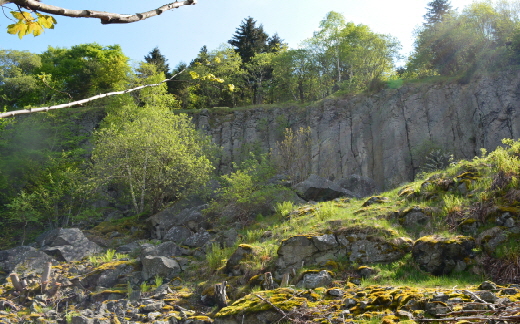 Basalt columns known as “Butterfässer” (buttertubs) on the Pöhlberg mountain