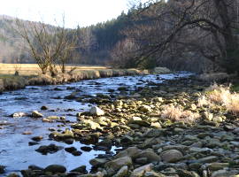 Flussbett im Schwarzwassertal
